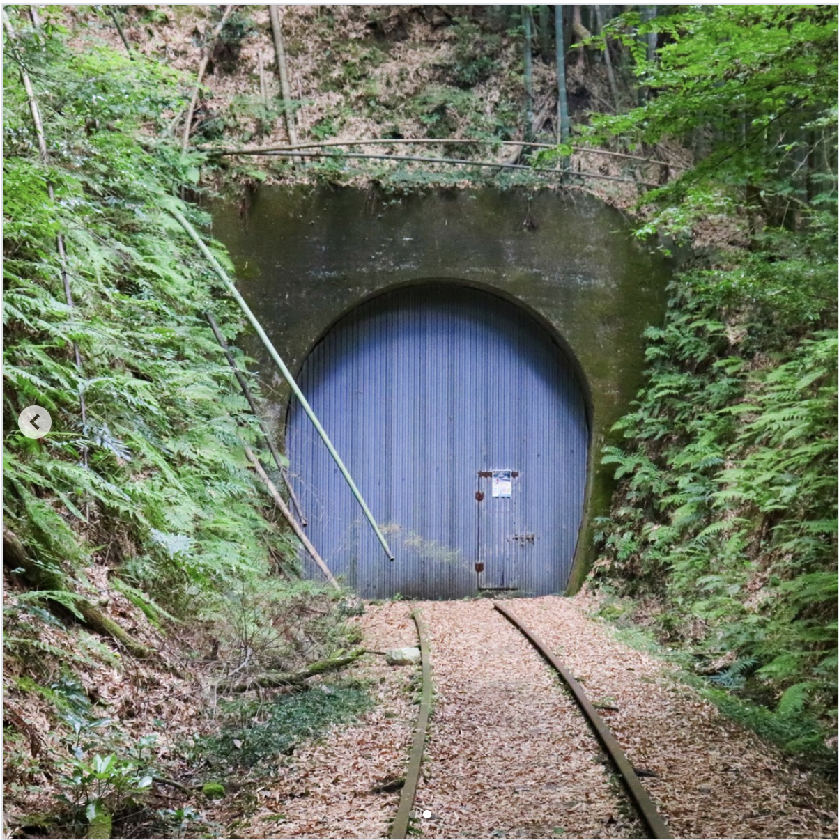 旧国鉄倉吉線 山守トンネル